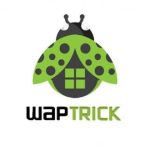 Download Waptrick APK Versi Terbaru Desember 2024: Situs Hiburan Gratis Favorit